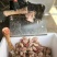 驴肉新鲜带皮驴肉6分体