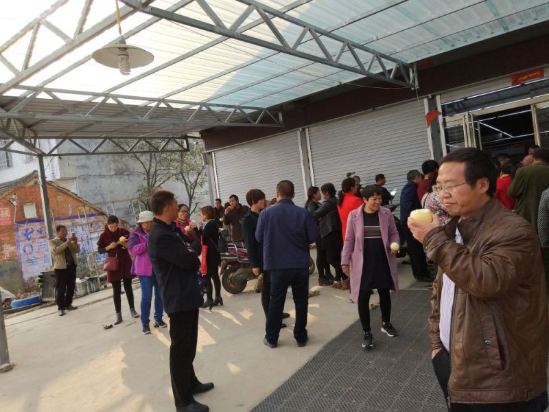 正宗黄金梨树苗1-2公分粗果大爆汁香甜品质好