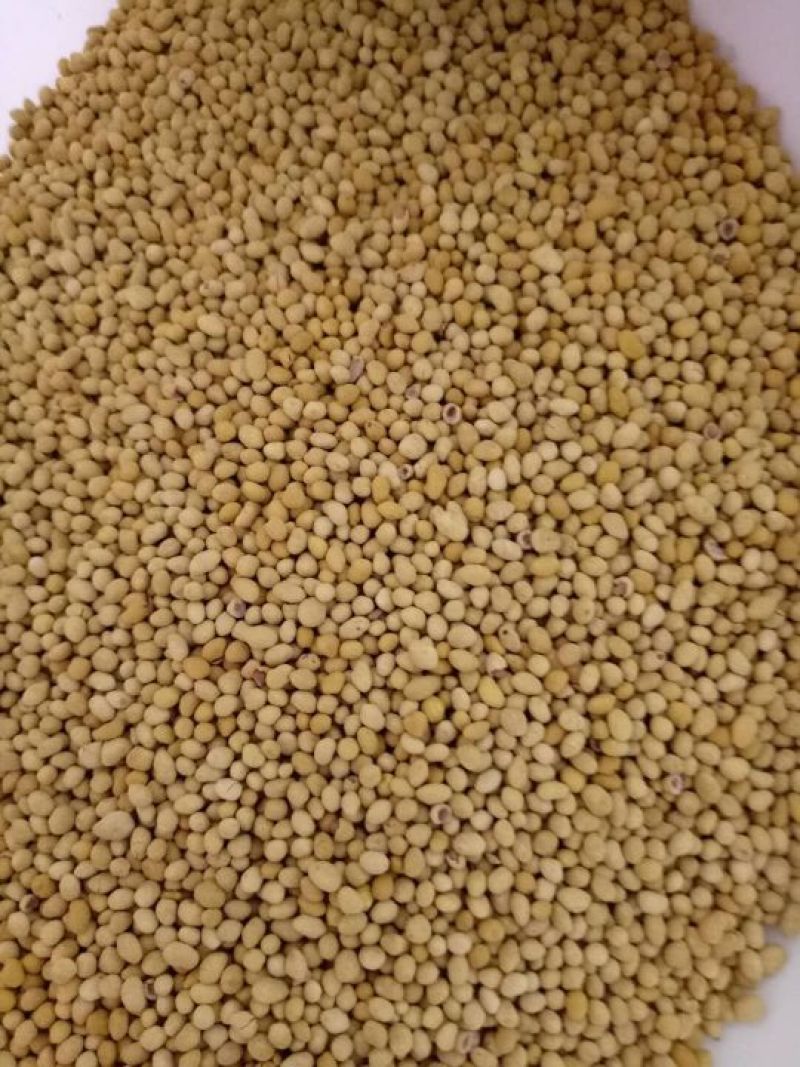 苜蓿种子快递发货货到付款