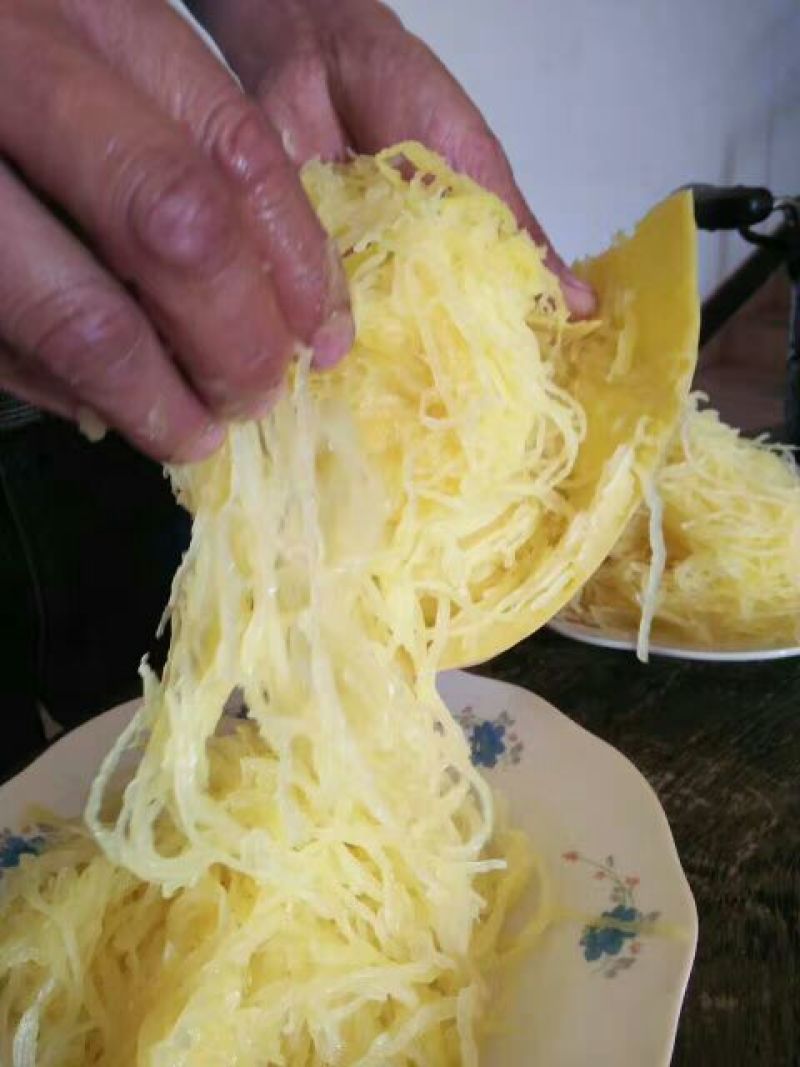 丝瓜种子（粉丝瓜种子）