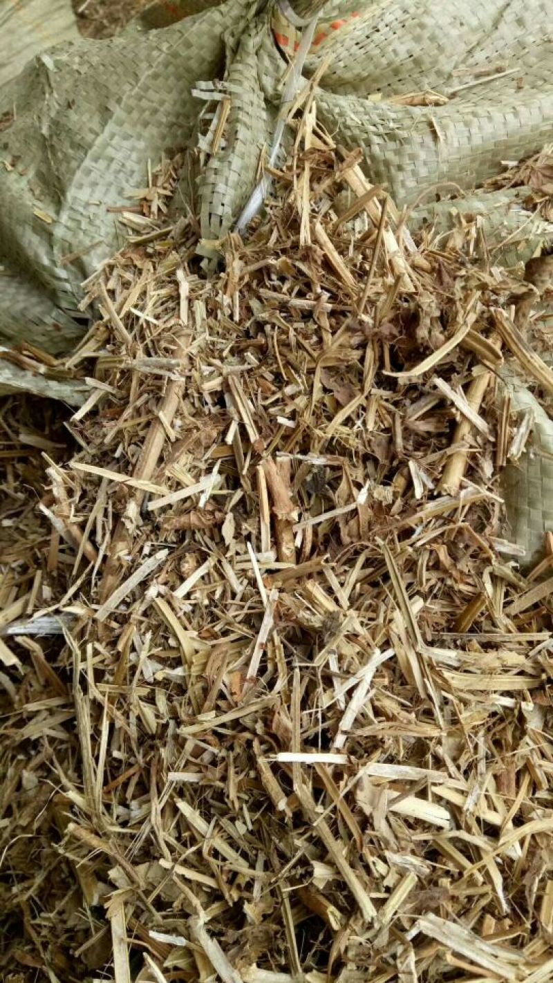 花生秧48个月