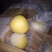 河北雪花梨产地直发价格便宜量大从优欢迎选购
