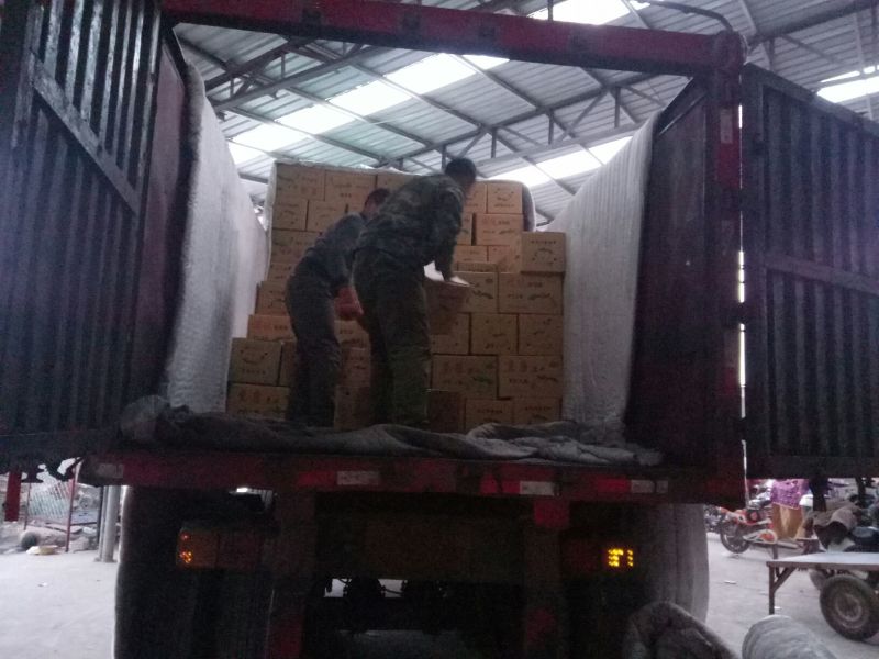 河北雪花梨产地直发价格便宜量大从优欢迎选购