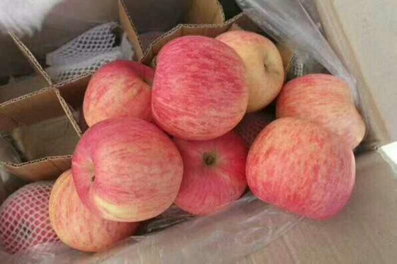 山东苹果。冷库红富士苹果。价格便宜。一手果园
