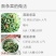 面条菜，基地直供，常年批发价，货发全国菇扎头