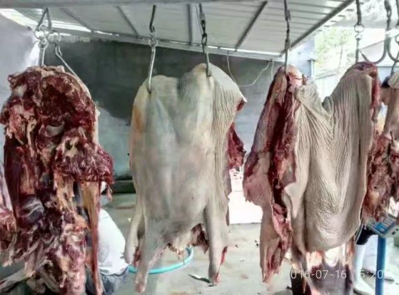 驴肉鲜货