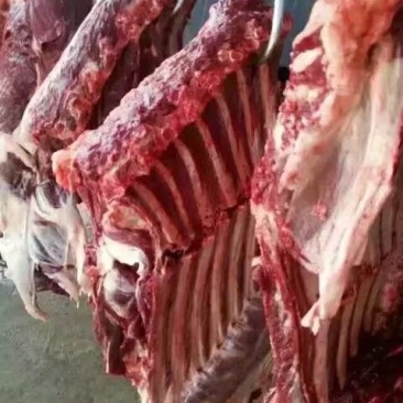 驴肉鲜货