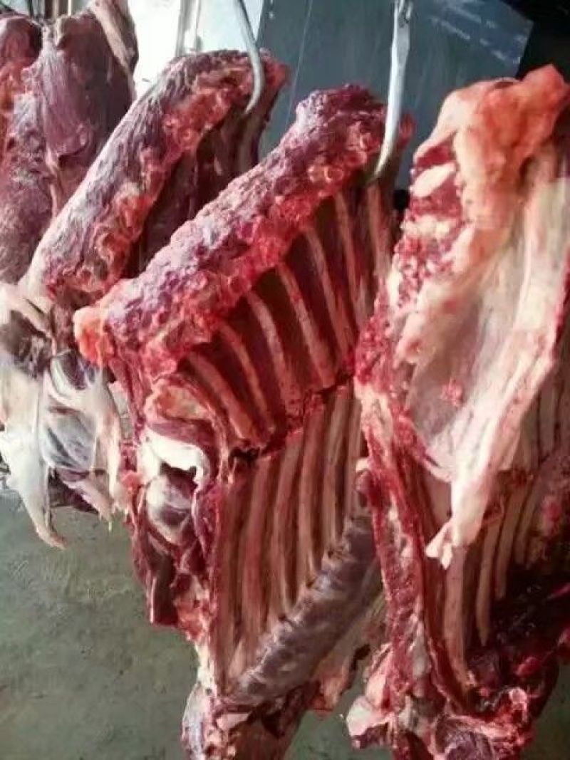 驴肉鲜货