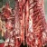 驴肉鲜货