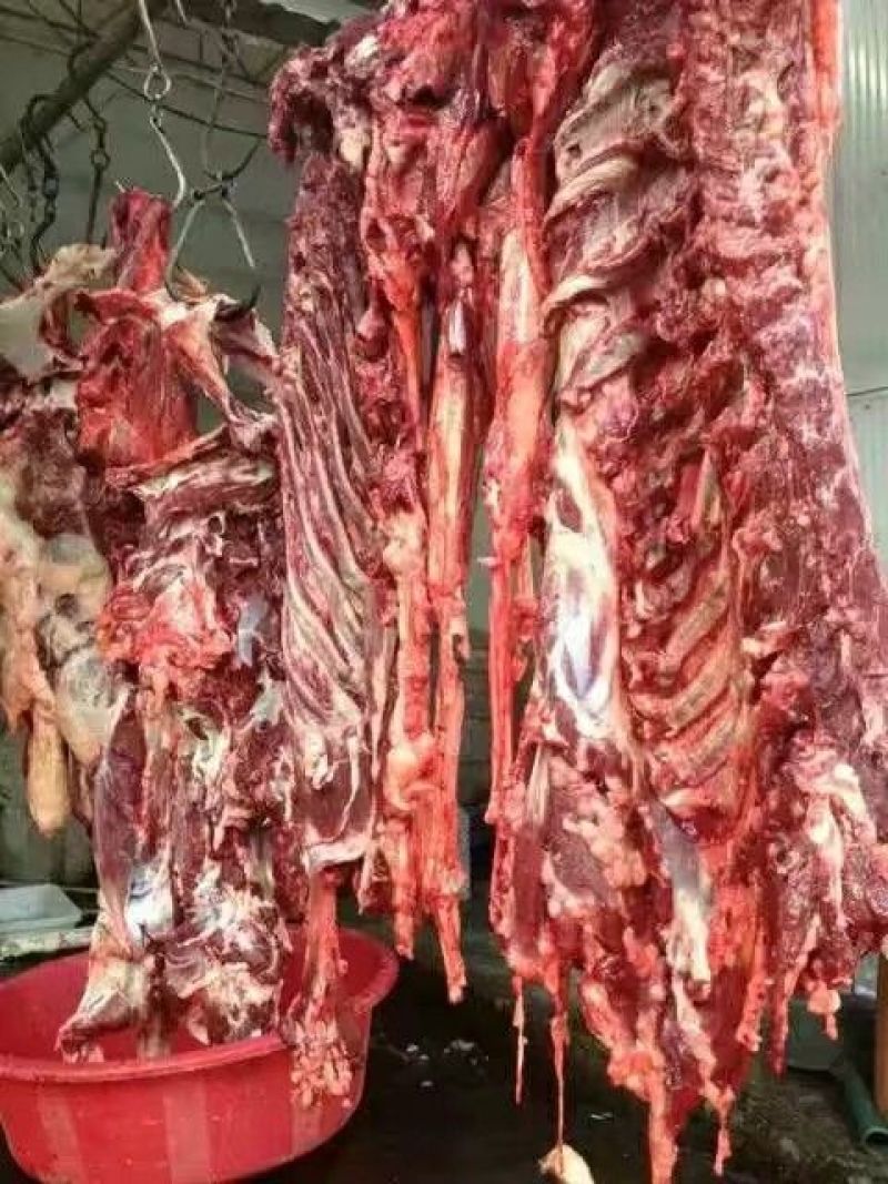 驴肉鲜货