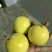 黄金百香果苗10~20cm