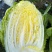 大白菜2~3斤净菜
