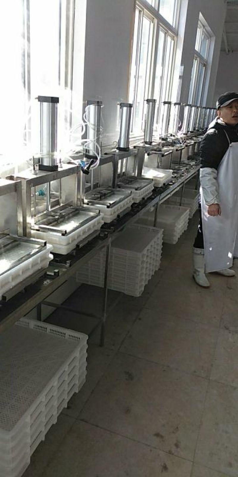 冻豆腐湿豆腐常年批发