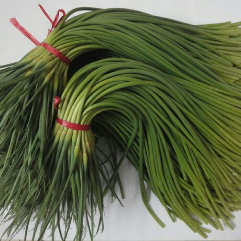 金乡红毛蒜薹精品50~60cm