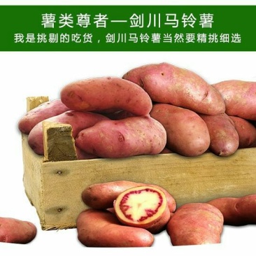 红心土豆1两以上通货