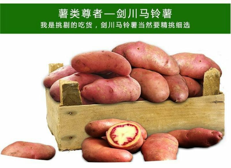红心土豆1两以上通货