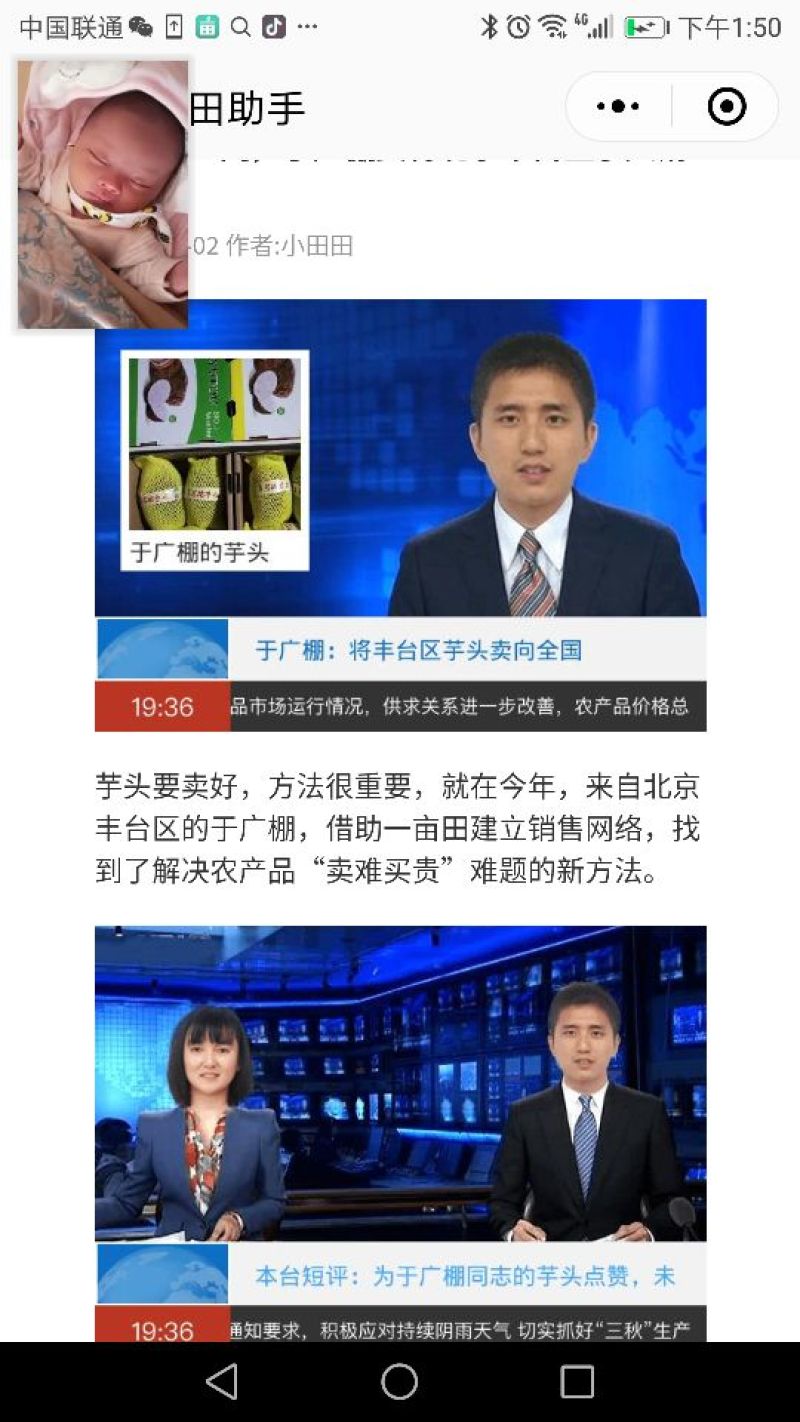 荔浦芋头6厘米以上