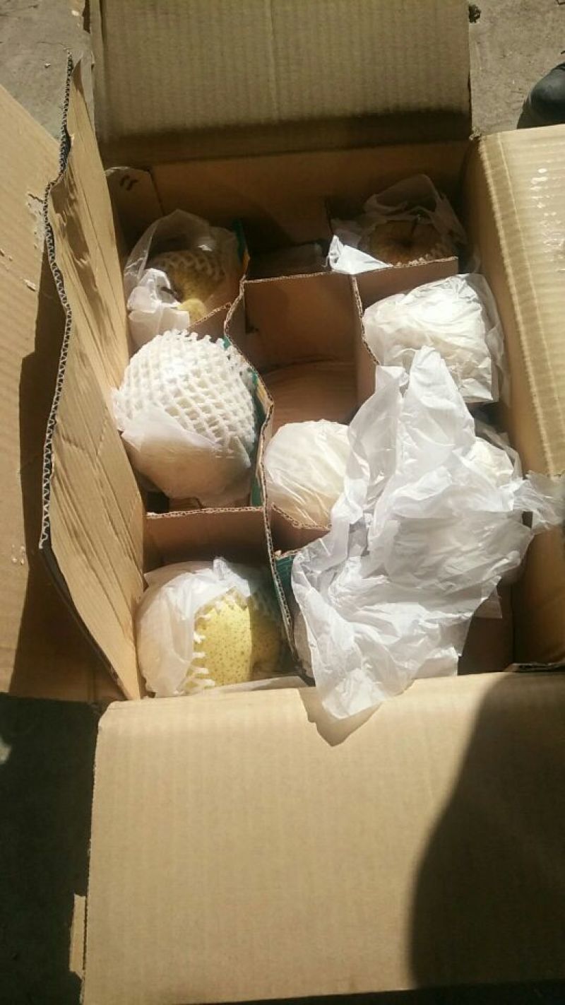 河北雪花梨纸箱筐装，散装，膜代，纸袋，甜细汁多