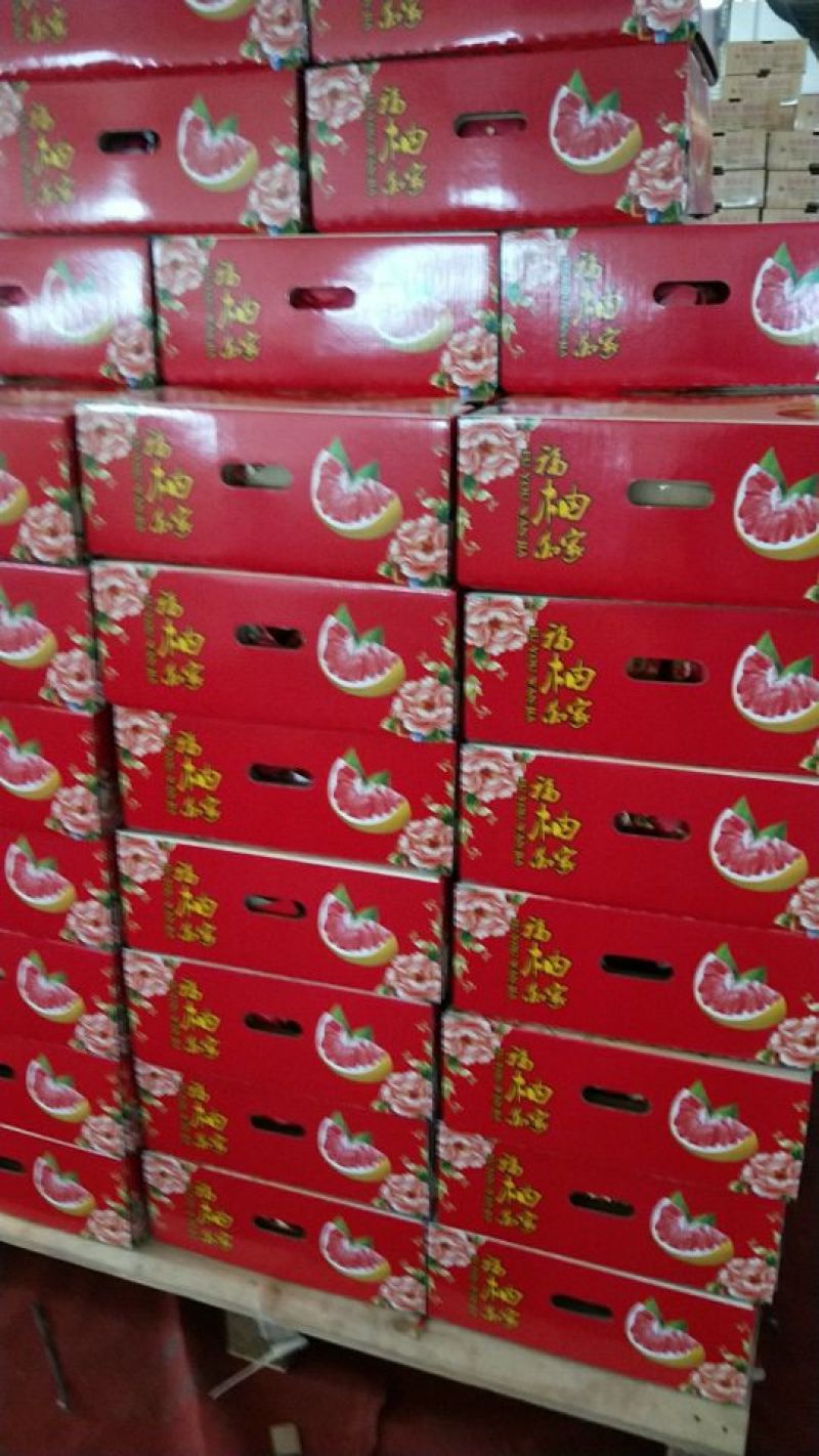 平和琯溪蜜柚1.8斤以上