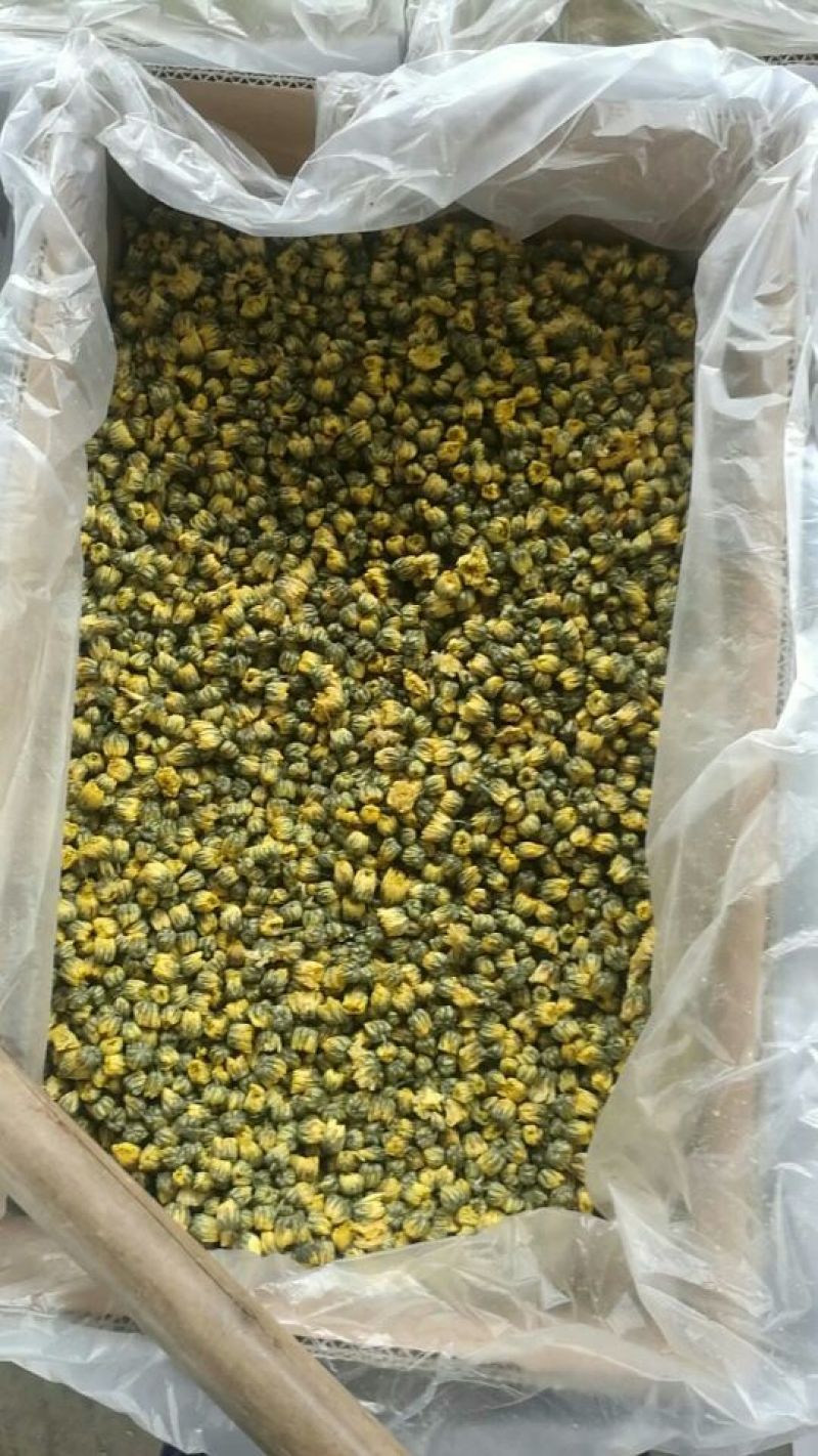 胎菊王散装