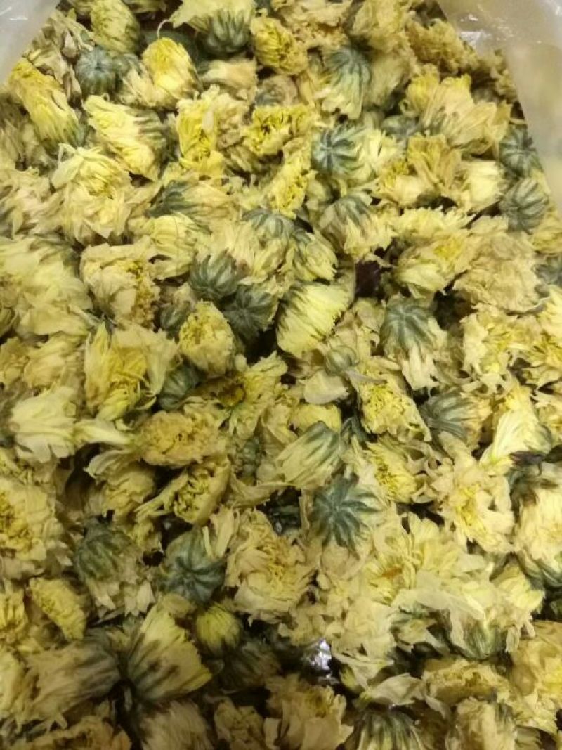 胎菊王散装