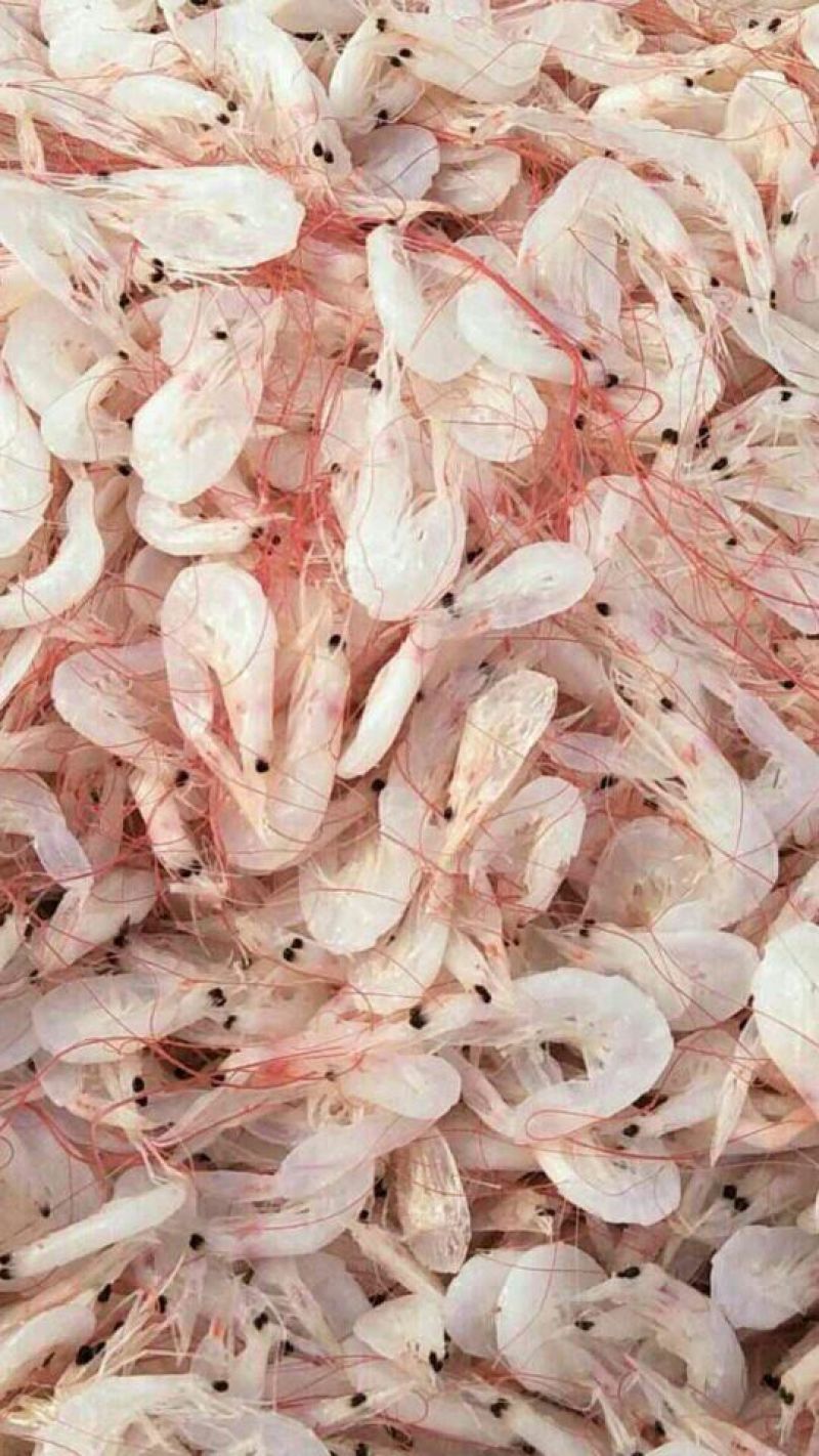 虾皮一级