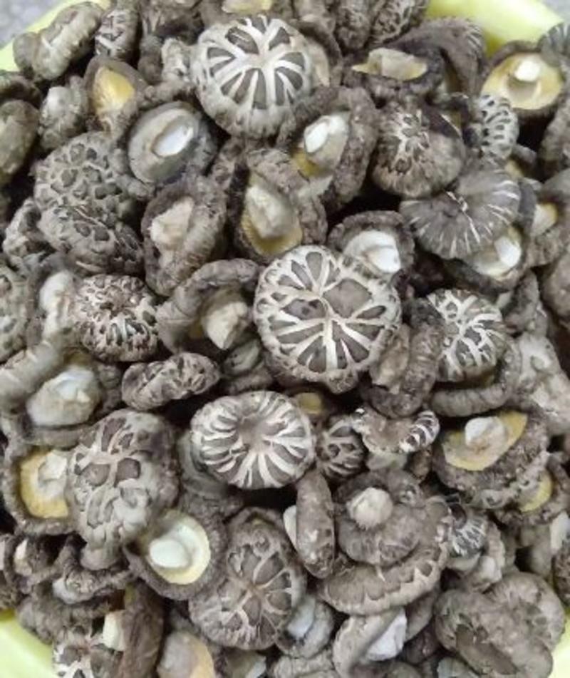 花菇椴木香菇冬菇肉厚短腿花色好味干花菇