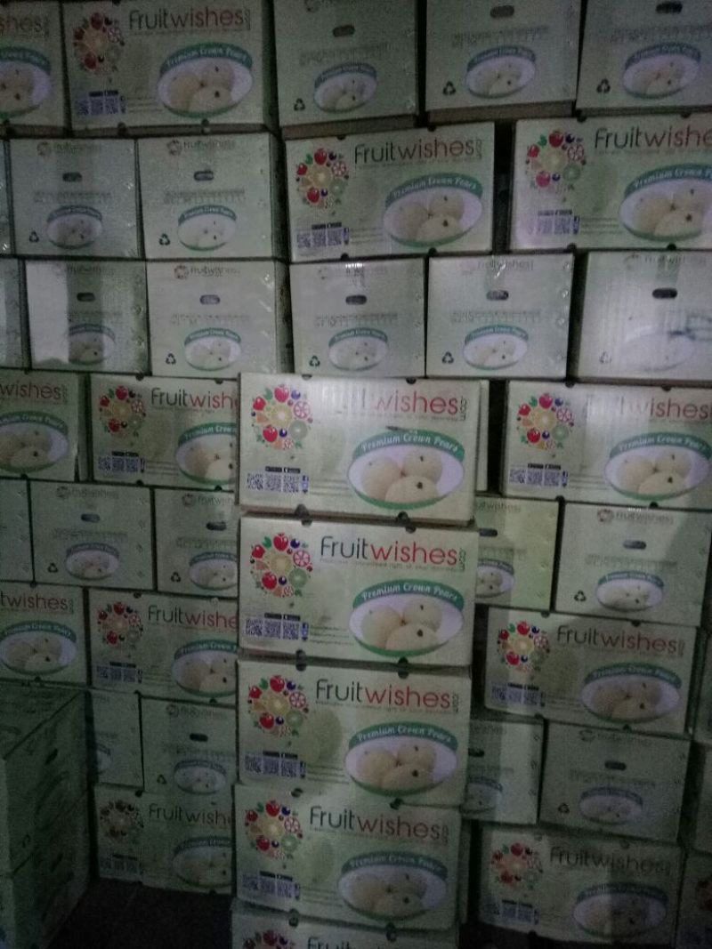 皇冠梨箱外次果250克以上货好价低