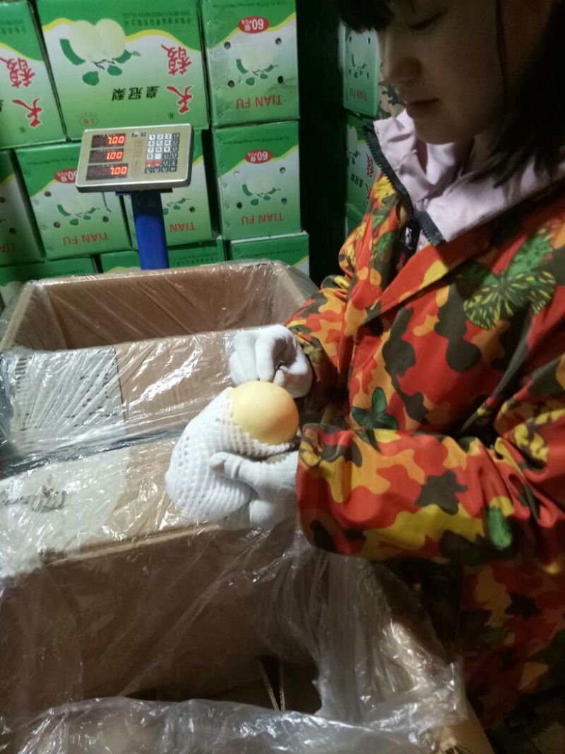 皇冠梨箱外次果250克以上货好价低
