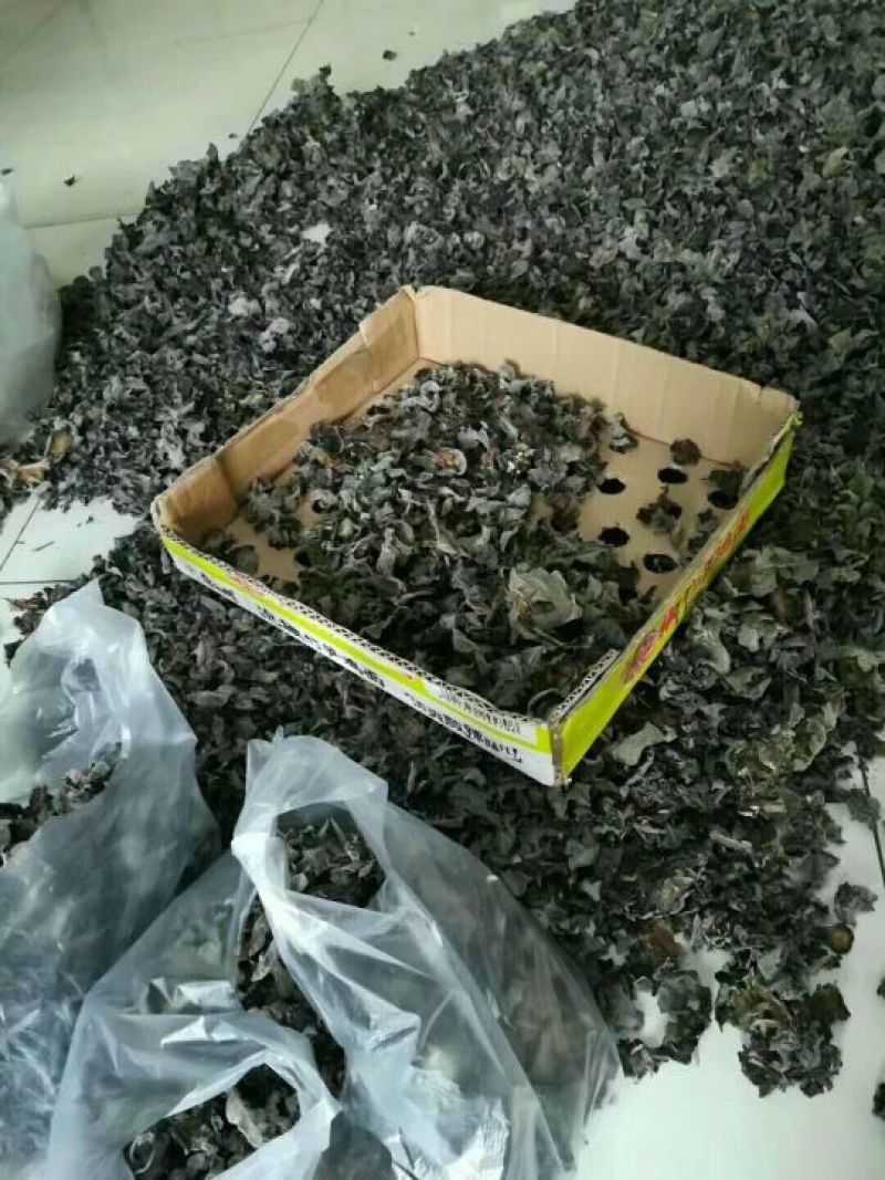 木耳特级