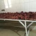 驴肉