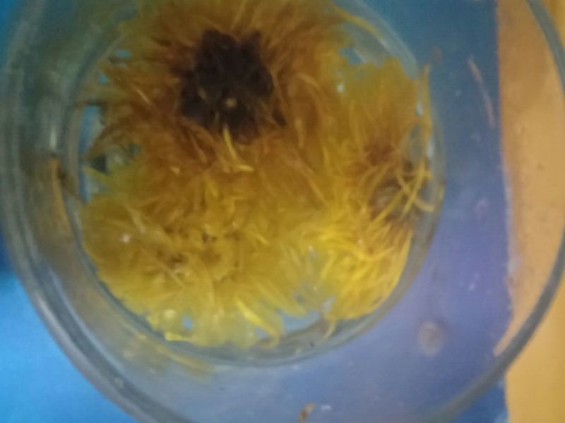野菊花袋装