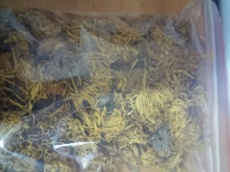 野菊花袋装