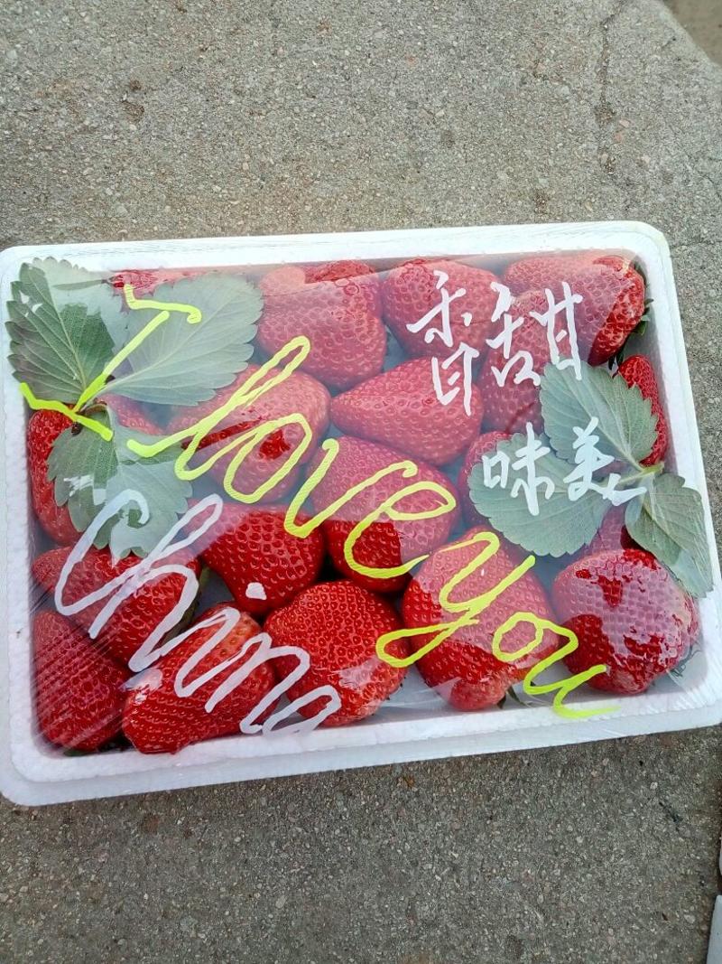 红颜久久草莓，手工筛选果型周正，颜色均匀，果硬口感好，