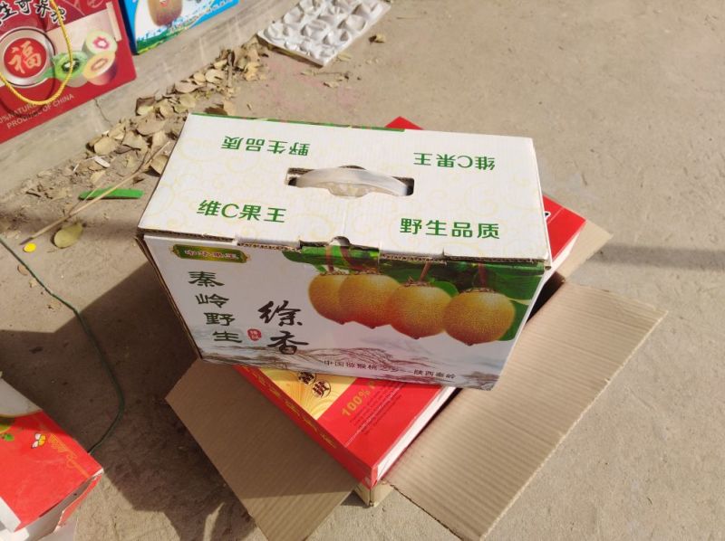 礼合猕猴桃礼品装招代理微商各大电商平台