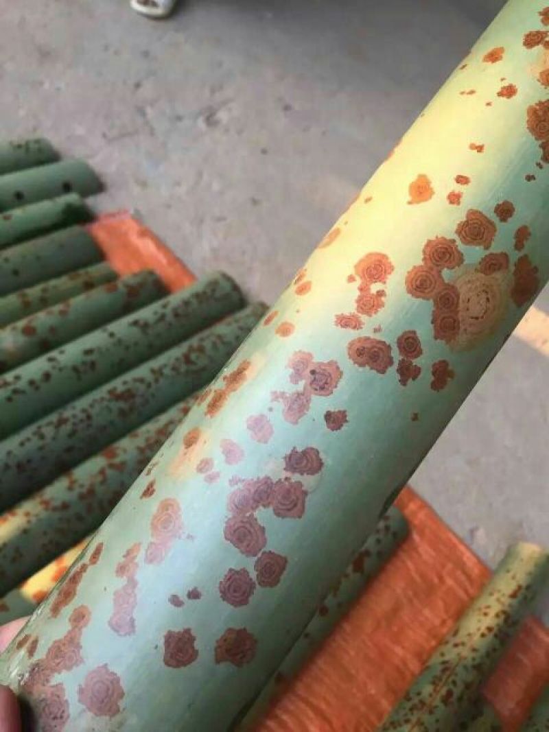 斑竹1~2m