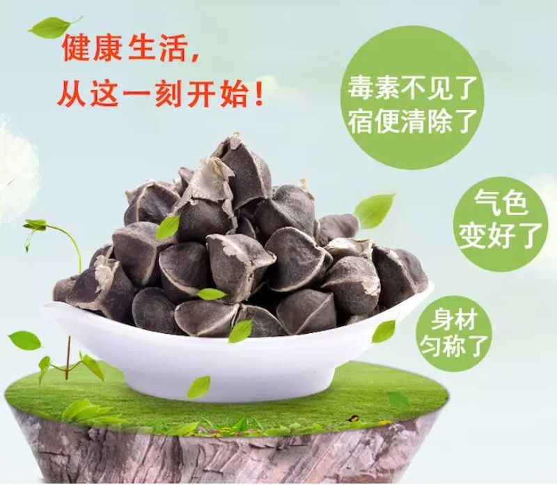辣木籽