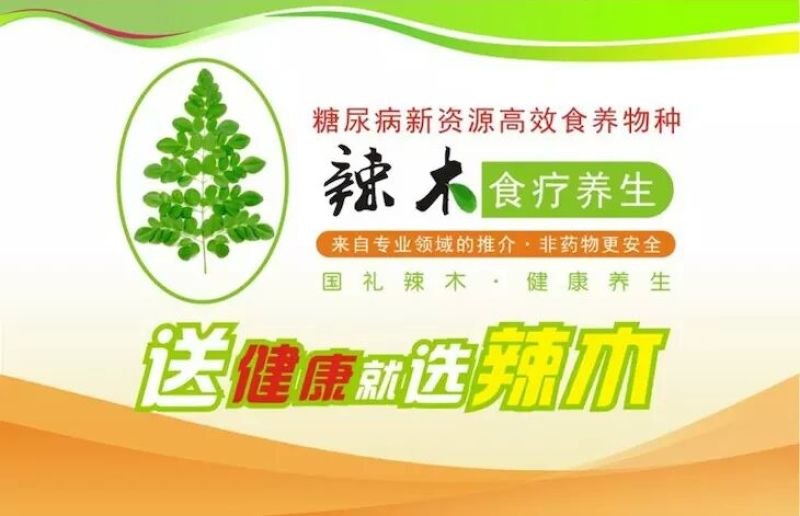 辣木籽