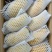 金煌芒十斤装5-12个果顺丰包邮
