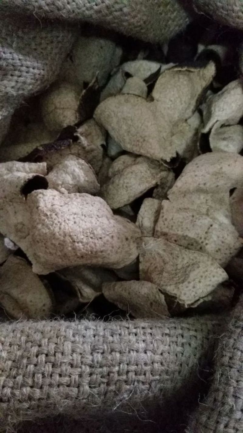 陈皮新会正宗老陈皮十年