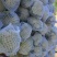 白花菜花1斤适中乳白