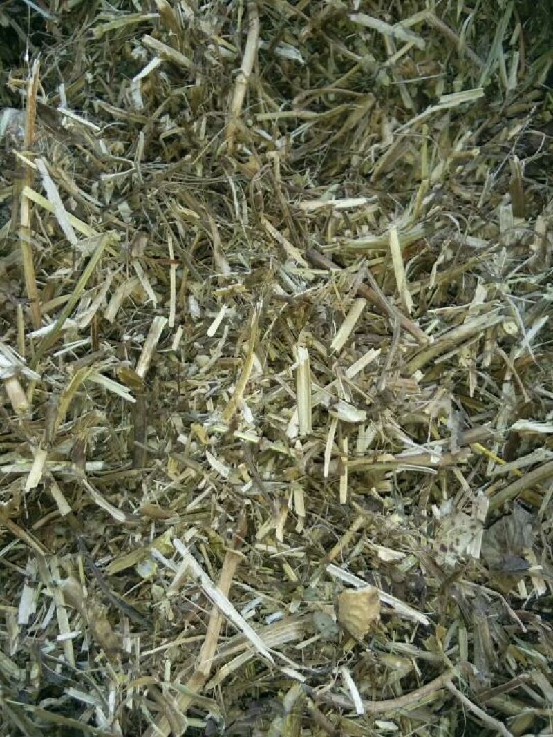 羊草干
