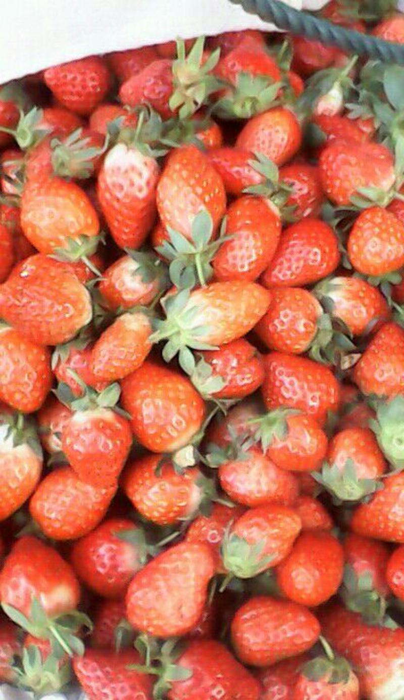 草莓20~30克