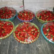 甜宝草莓50克以上