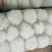 大白菜便宜量大品质好鲜货