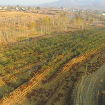 山地转租10~100亩10年以下