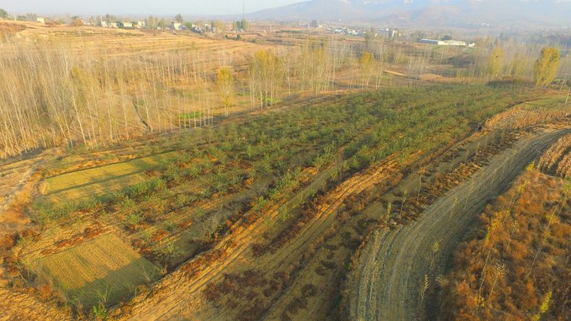 山地转租10~100亩10年以下