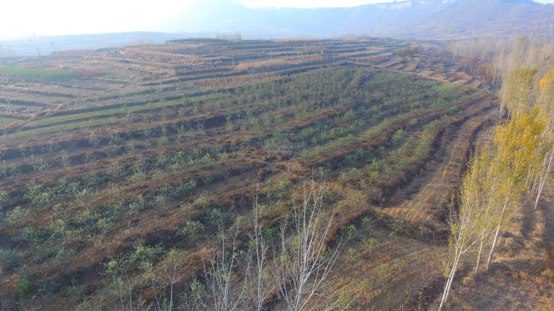山地转租10~100亩10年以下