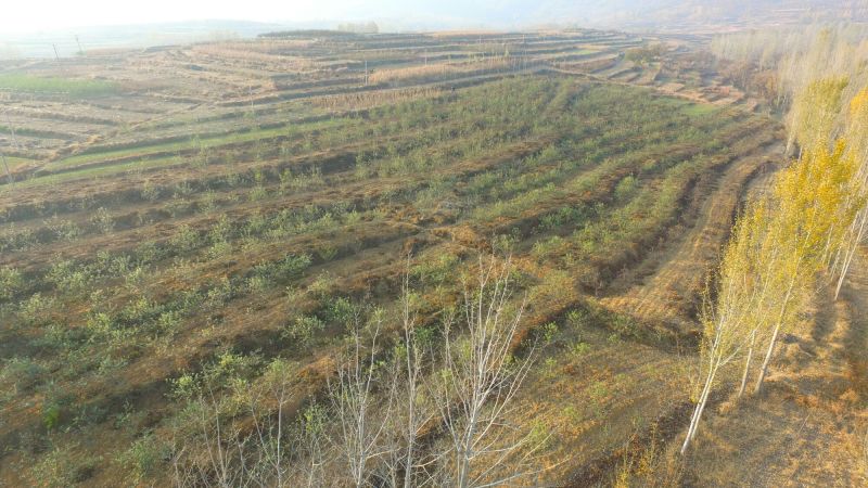 山地转租10~100亩10年以下