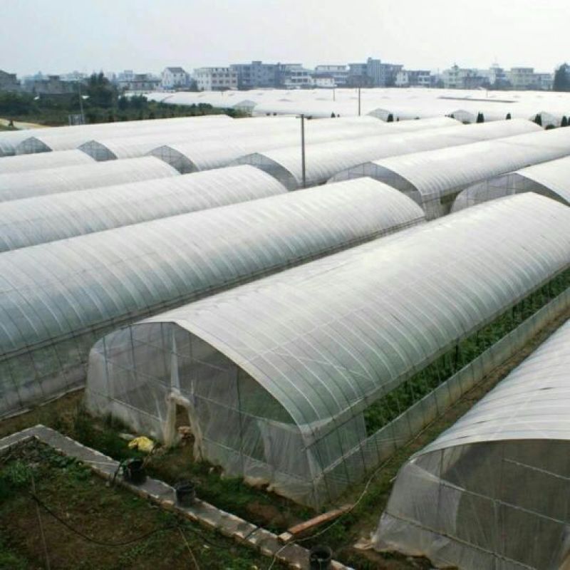 大棚膜4-12丝，高透光高保温，质量好